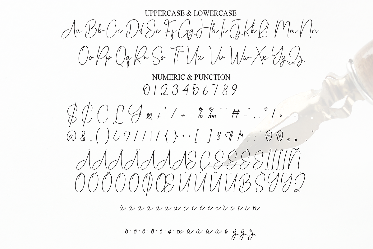 Daniel Signature | Script Font, a Handwritten Font by Scratchones (Photo 7 of 8)