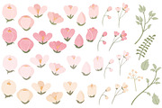 Soft Pink Flower Clipart & Vectors, an Illustration by Amanda Ilkov (Thumbnail 2 of 3)