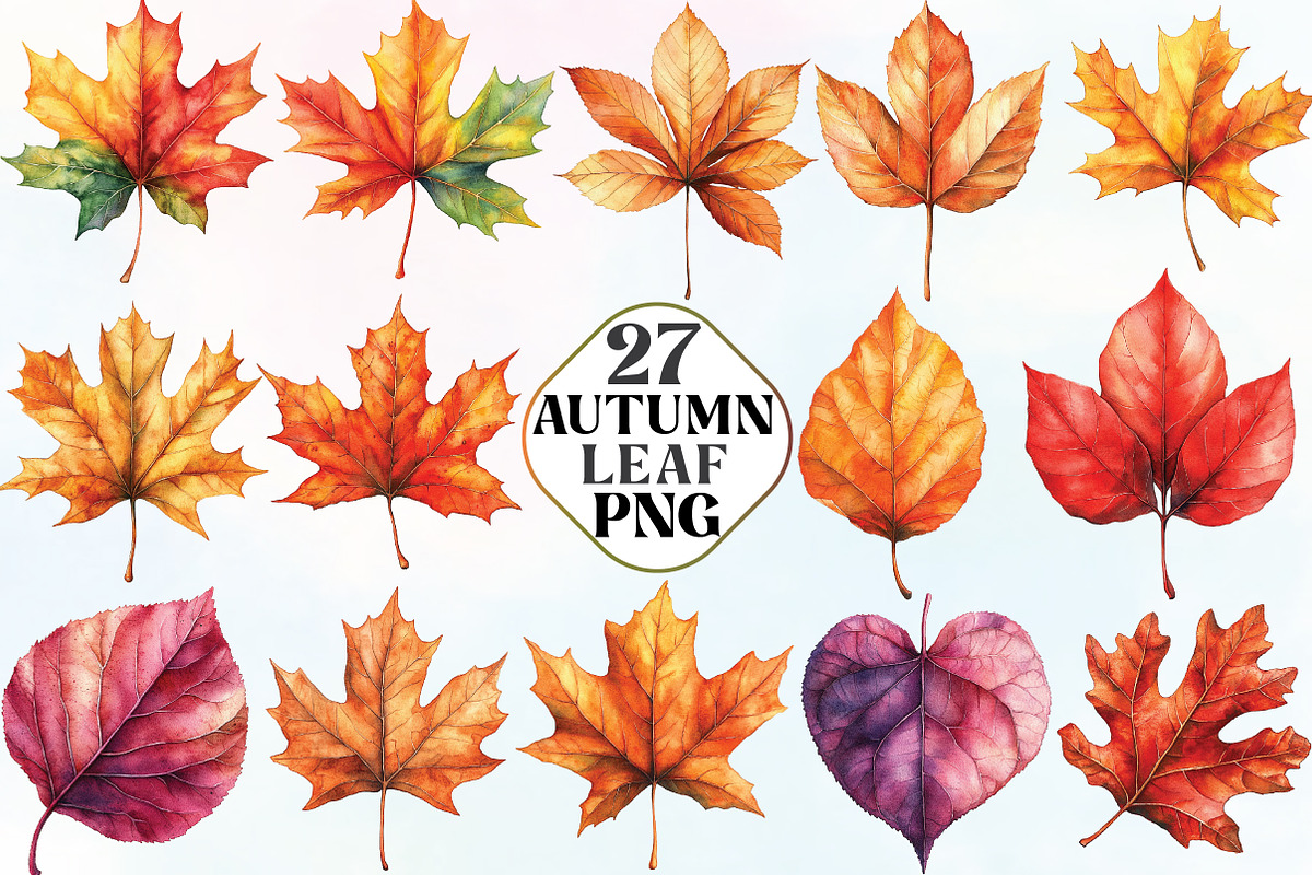 Watercolor Autumn Leaf Clipart, an Illustration by CraftArtStudio (Photo 1 of 6)