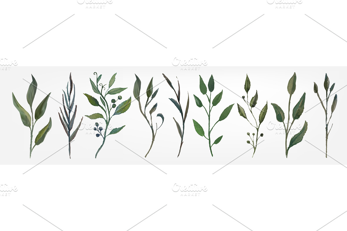 Watercolor green branches with, an Object Illustration by art PVP - market