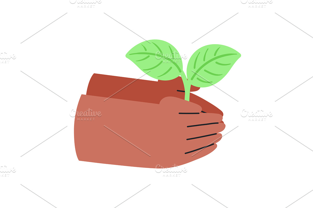 Human hands holding young sprout, an Illustration by sceptical cactus