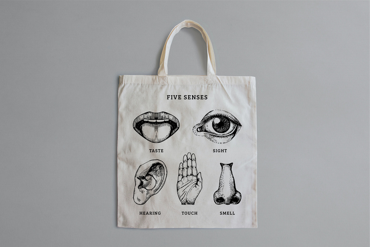 Five Human Senses Vintage Collection, an Object Illustration by Chewie Co (Photo 5 of 8)