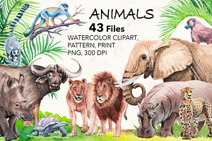 Watercolor Exotic Animals.