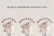 Enchanter Deluxe Modern Art Font, a Serif Font by Cloverons (Thumbnail 2 of 9)