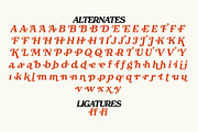 Free Spirited, a Serif Font by Horlleys (Thumbnail 19 of 20)