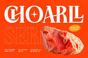 Choarll Modern Serif Display, a Serif Font by timelesstype.co (Thumbnail 1 of 20)