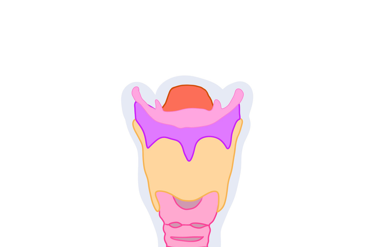 Biology & Anatomy goodnotes stickers, an Education Illustration by Noorist (Photo 30 of 32)