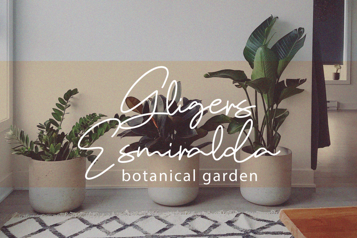 Flisma - Handwritten Signature, a Handwritten Font by tebaltipislab (Photo 10 of 10)