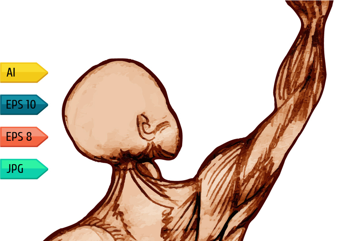 Set of man body anatomical atlases., a Person Illustration by julia_musdotter (Photo 3 of 4)