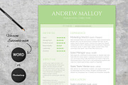 Fresh Mint CV Template, a Resume Template by Visual Impact (Thumbnail 3 of 3)