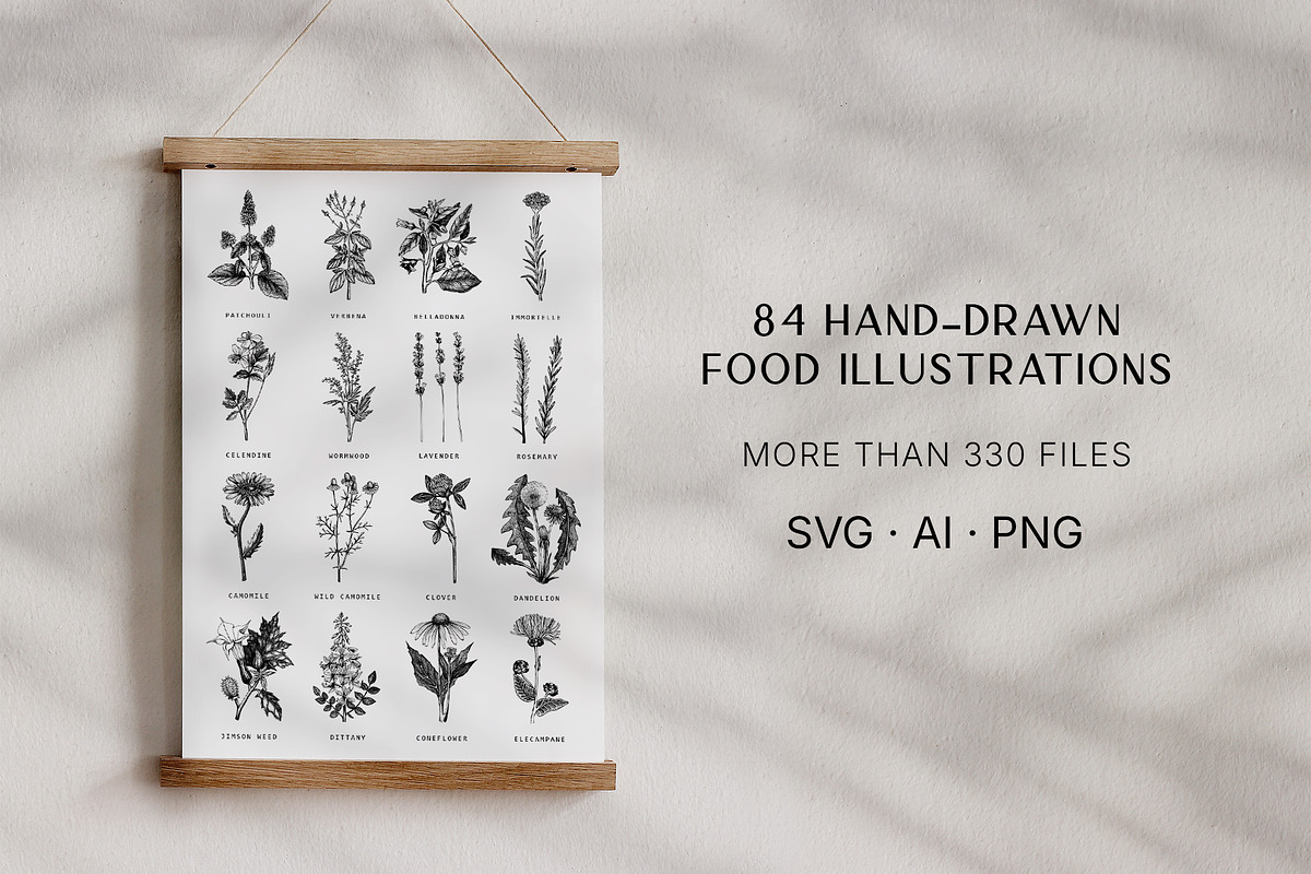 BUNDLE - Vector Herbs & Spices, a Food Illustration by Yevheniia (Photo 2 of 12)