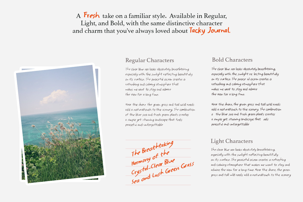 Tacky Journal - Handwritten Notes, a Handwritten Font by Bale Type (Photo 4 of 12)