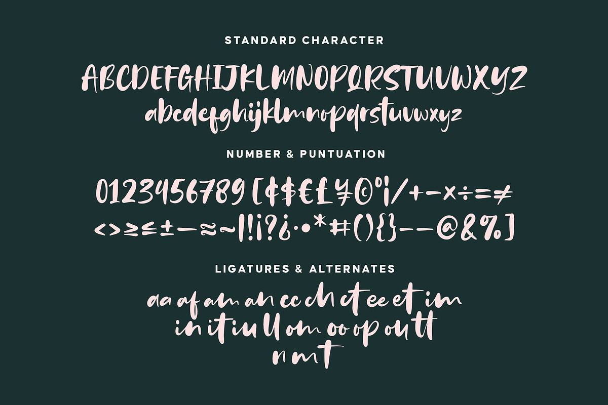 Bounches Font, a Script Font by trustha (Photo 14 of 14)