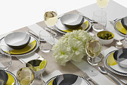 table setting 03, an Object 3D Model by 3dcruz (Thumbnail 13 of 13)