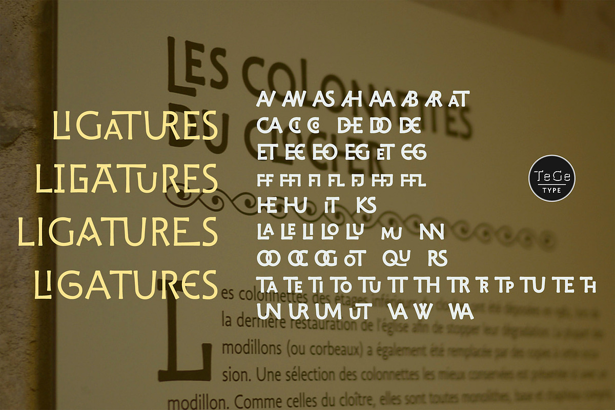 Dilectus, a Script Font by TeGeType foundry (Photo 6 of 8)