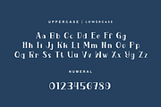 Christmas Hollynight Font, a Serif Font by QR Design Studio (Thumbnail 9 of 11)