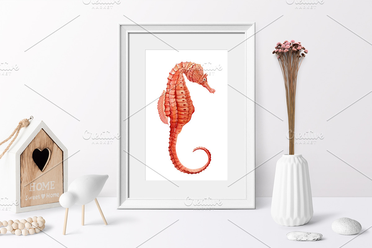 Seashells and fish, watercolor, an Animal Illustration by Hanna Hryharenka (Photo 5 of 20)