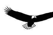 Powerful eagle flying wall art, an Illustration by Amazin_art (Thumbnail 6 of 26)