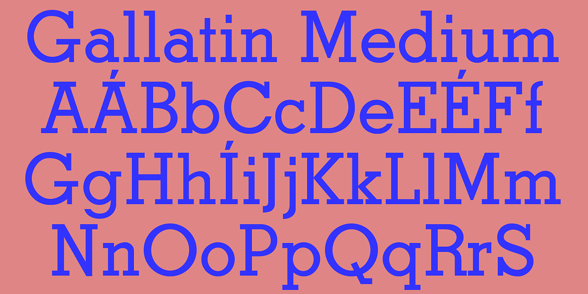 Gallatin Medium, a Slab Serif Font by Wooden Type Fonts (Photo 2 of 2)