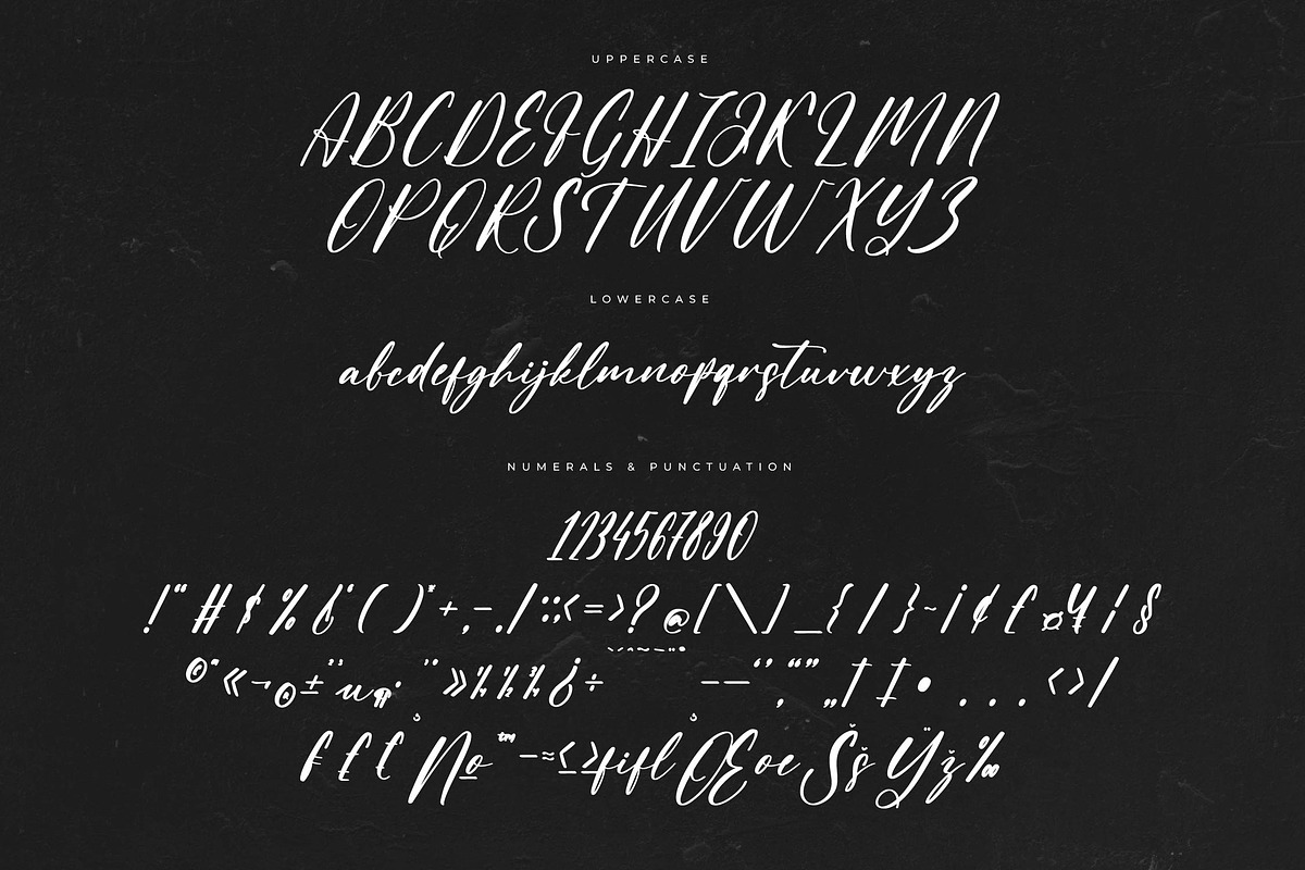 Claudia Martin Modern Handwritten, a Script Font by Letterena Studios Script (Photo 13 of 15)