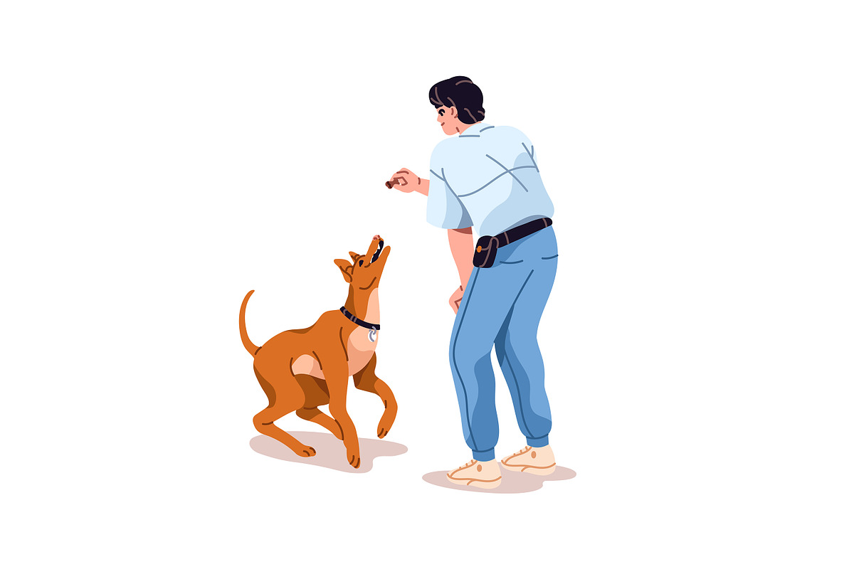 Dogs' obedience training set, an Animal Illustration by PaperTrident (Photo 6 of 13)