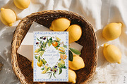 Watercolor Mediterranean summer life, a Decorative Illustration by Pamyatka Shop (Thumbnail 3 of 25)