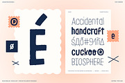 LeOsler Rough | Bundle | 2 Fonts, a Handwritten Font by Antipixel Type Studio (Thumbnail 11 of 15)