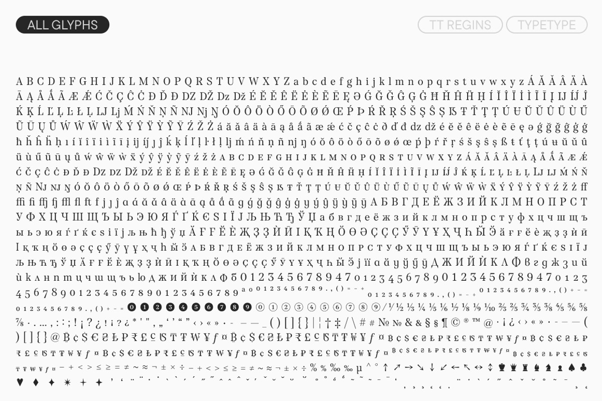 TT Regins, a Serif Font by TypeType (Photo 10 of 15)