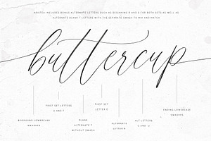 Aristea Modern Calligraphy Script