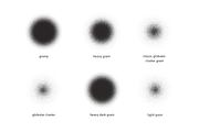 Photoshop & Procreate Grainy Brushes, a Brush Add-On by purple_swarm (Thumbnail 4 of 5)