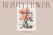 DIEGO Modern Serif Font Display, a Serif Font by Storytype Studio (Thumbnail 8 of 15)