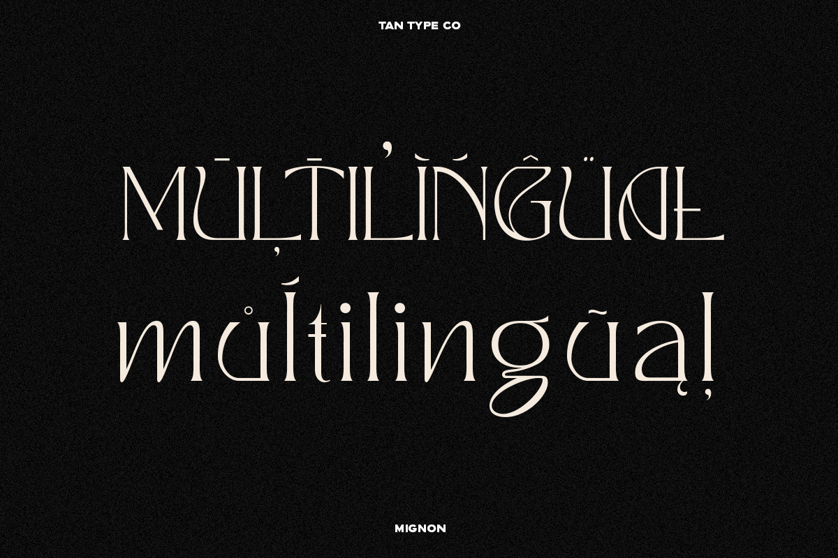 TAN - MIGNON, a Font by TanType (Photo 13 of 17)