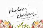 Frelline Script, a Script Font by Soft Creative (Thumbnail 2 of 8)