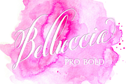 Belluccia Pro Bold Font, a Script Font by Debi Sementelli (Thumbnail 1 of 5)
