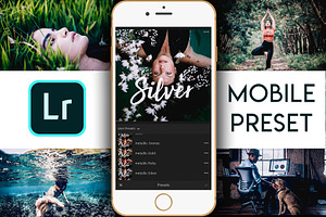 Lightroom Mobile - Silver