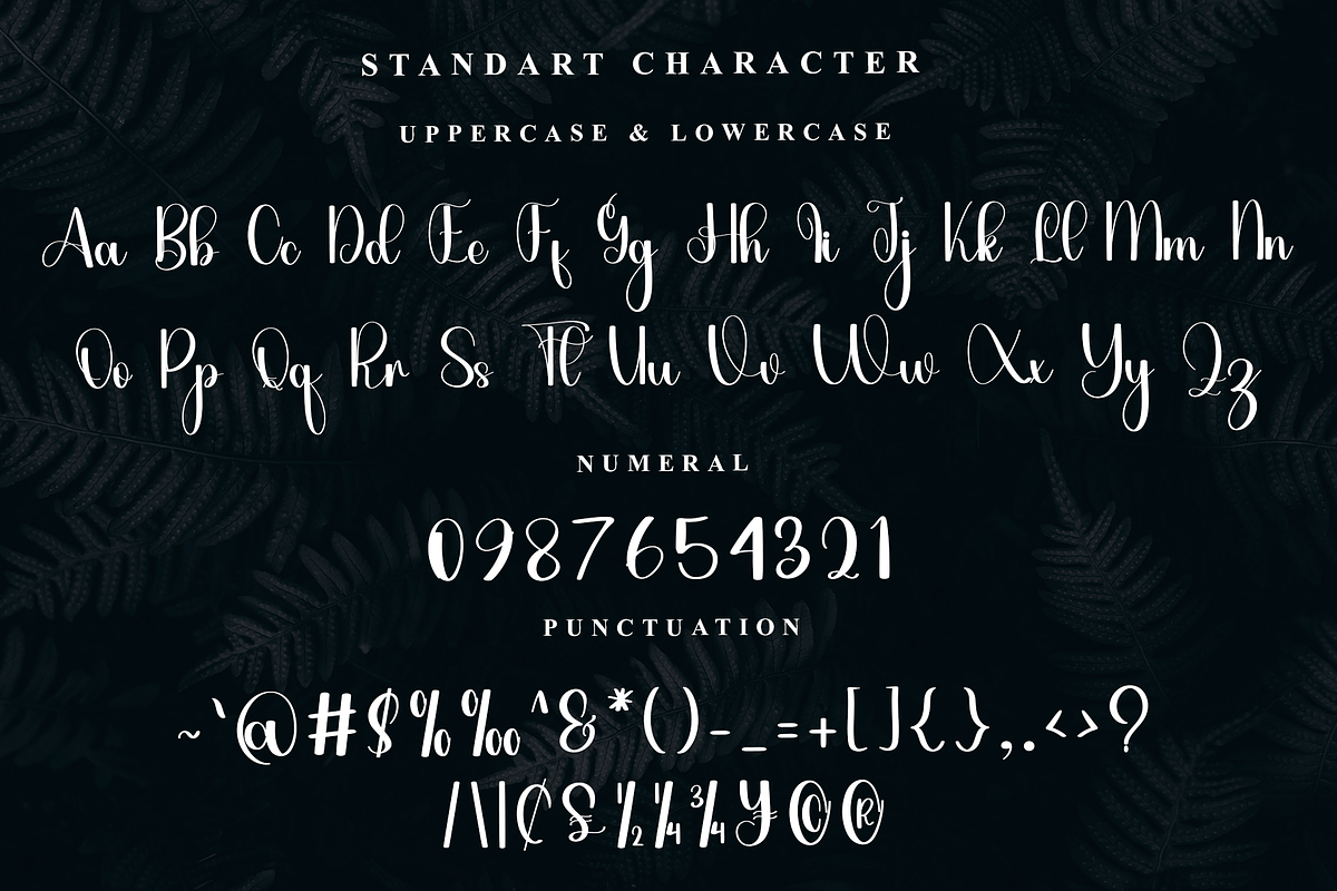 Tuesday, a Script Font by FreshTypeINK (Photo 6 of 7)