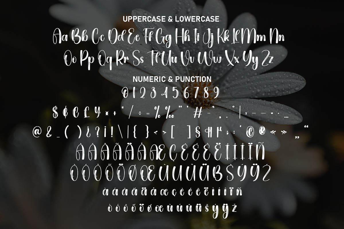 Daisy | Script Font, a Handwritten Font by Scratchones (Photo 7 of 9)