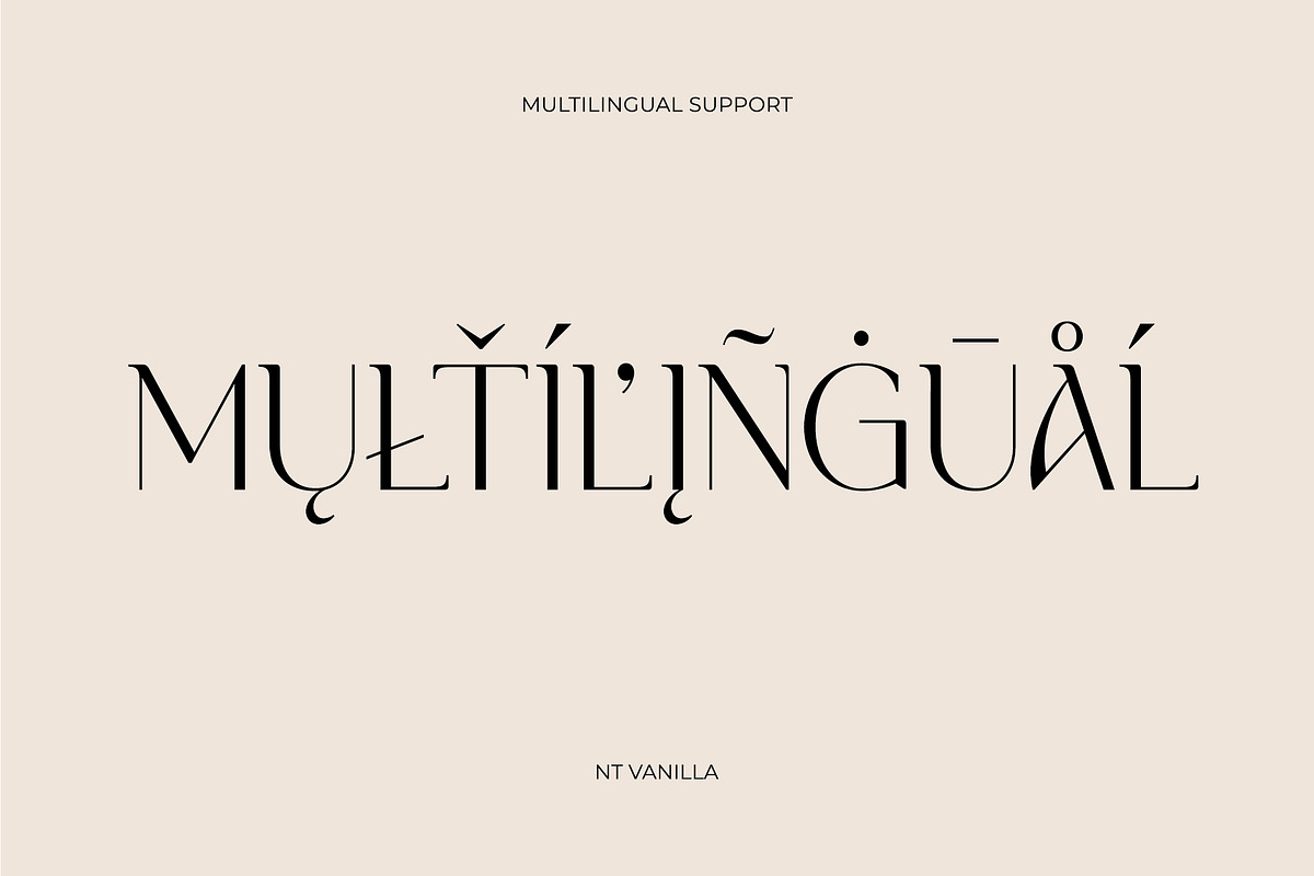 NT VANILLA, a Serif Font by nevsky.type (Photo 11 of 11)
