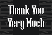 Mewan - Serif Vintage Font, a Serif Font by lelevien (Thumbnail 4 of 4)