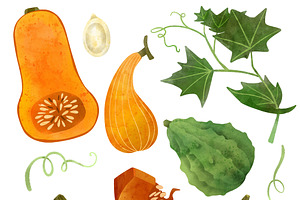 Vegetables, Herbs Watercolor Clipart