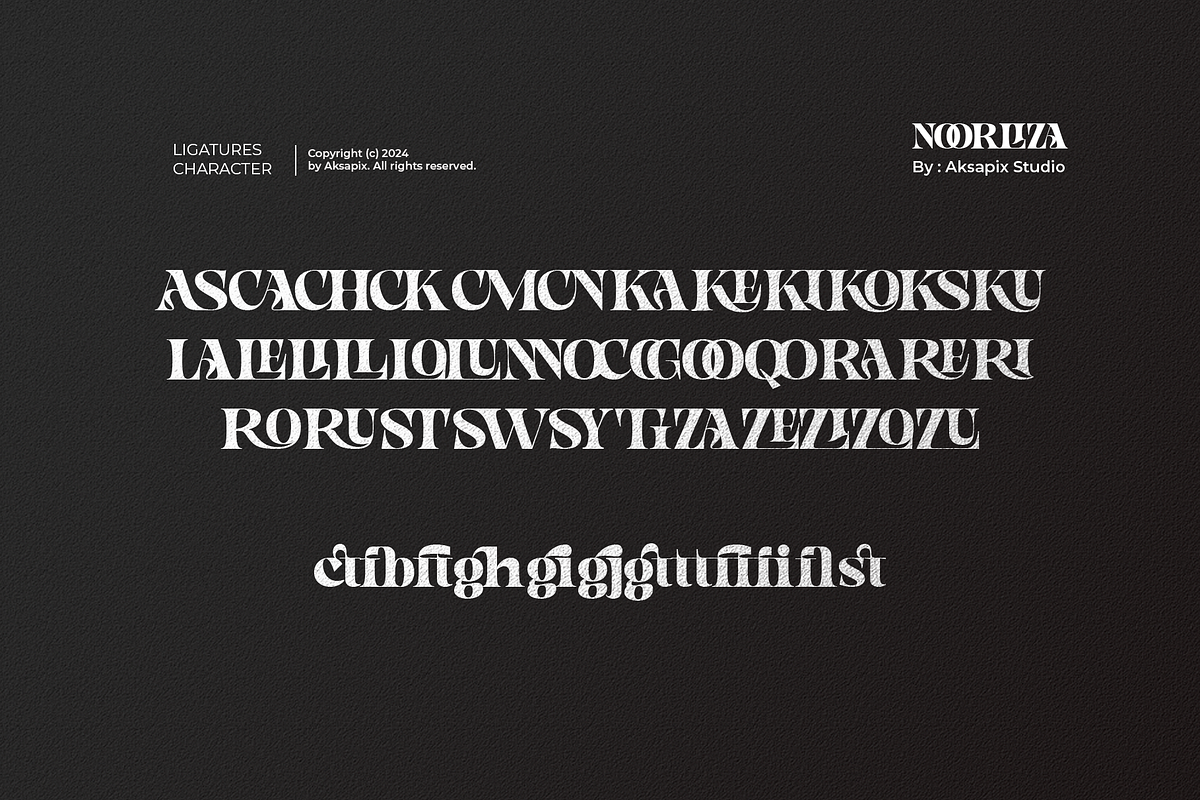 Noorliza - Modern Serif Font, a Serif Font by Aksapix Studio (Photo 11 of 12)