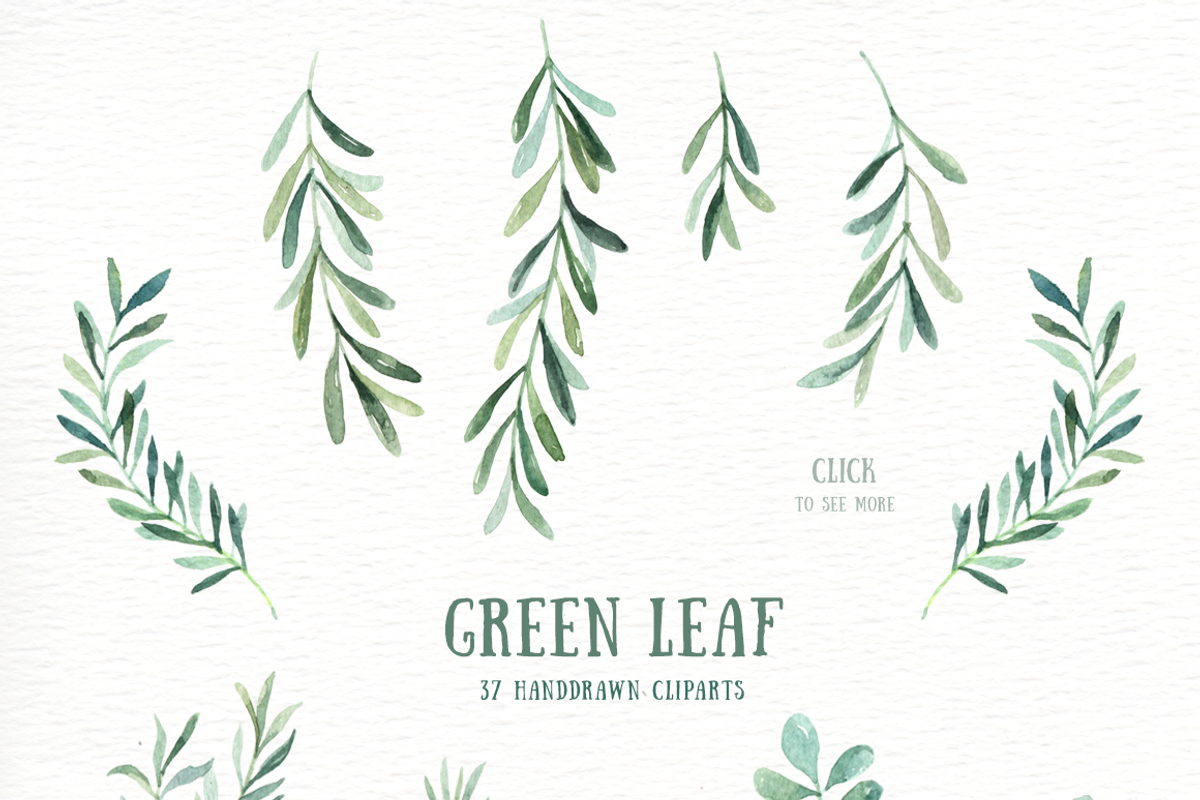 Green Leaf Watercolor clipart, an Illustration by everysunsun (Photo 3 of 4)