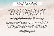 Soul Seashell - Brush Font, a Handwritten Font by Beautypes (Thumbnail 6 of 8)