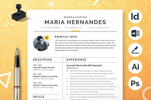 Professional Accountant CV Template