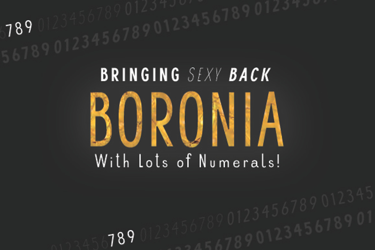 Boronia, a Sans Serif Font by STUDIOWAYS (Photo 5 of 7)