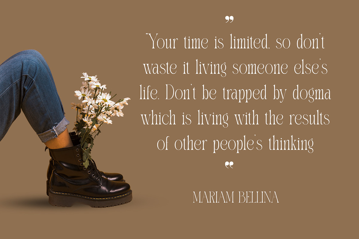 Nabira Modern Elegant Serif, a Serif Font by Alfinart (Photo 6 of 10)