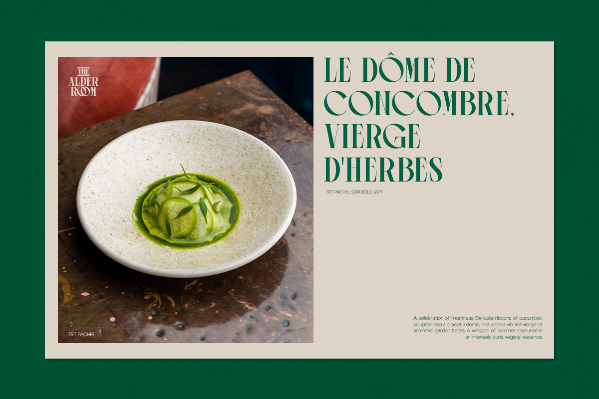 TRT Pachel Luxury Editorial Serif, a Serif Font by truetype (Photo 9 of 15)