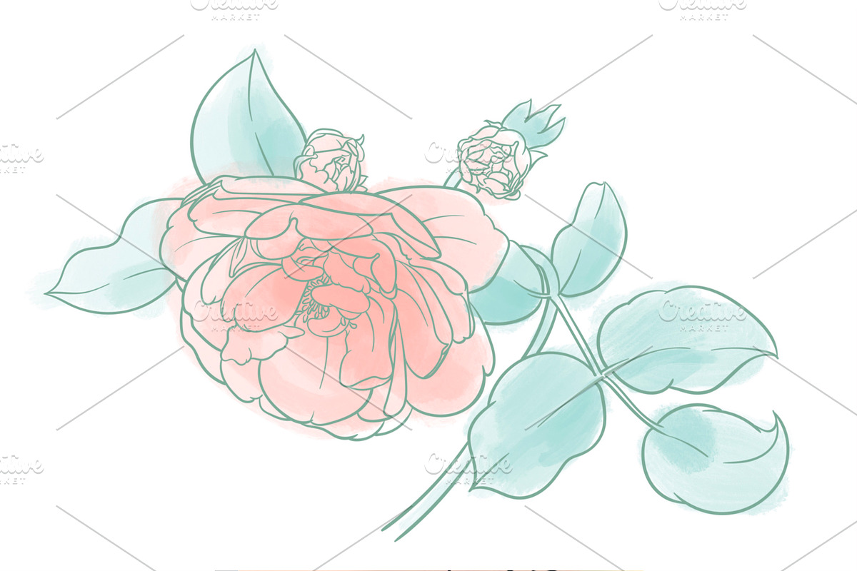 Rose flowers procreate stamp brushes, a Brush Add-On by ViktoriArt (Photo 4 of 6)