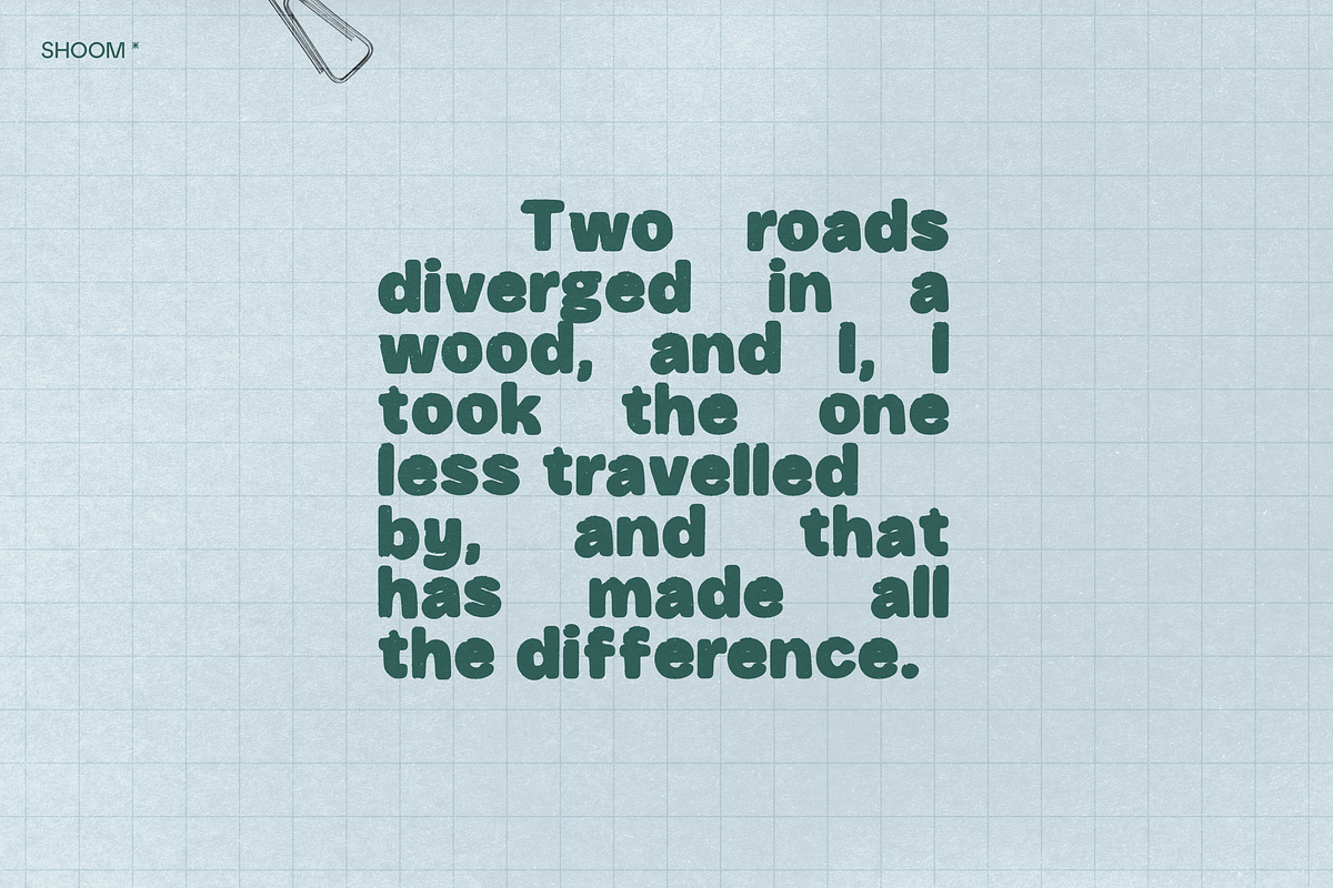 Bold Writer: Chunky Display Font, a Sans Serif Font by SHOOM HOUSE (Photo 8 of 16)