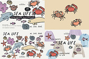 Bundle 8 in 1 - Illustrations & Font, an Animal Illustration by line & plane (Thumbnail 5 of 10)
